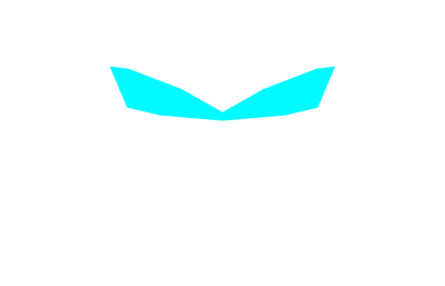 Cybtronic
